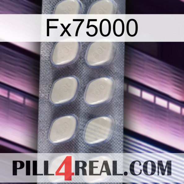 Fx75000 08